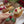 Load and play video in Gallery viewer, Christmas Box of Mini Eclairs
